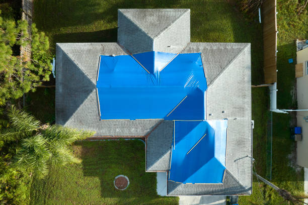 Best Sheet Metal Roofing  in Huntsville, AR